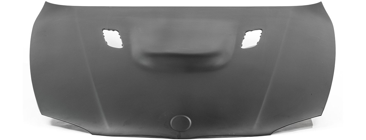 Banner_Edenhofer_Motorsport_Carbon-Motorhaube